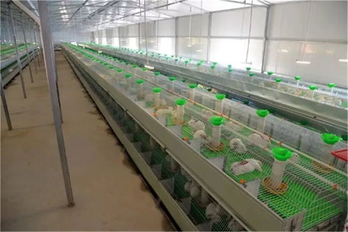 接煙不看牌子，吃飯不擦筷子，通江網(wǎng)紅書記如何用技術(shù)開發(fā)成為群眾貼心人？